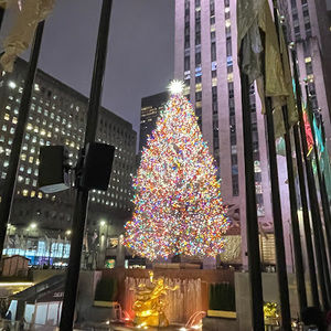 Meet your Posher, Avery